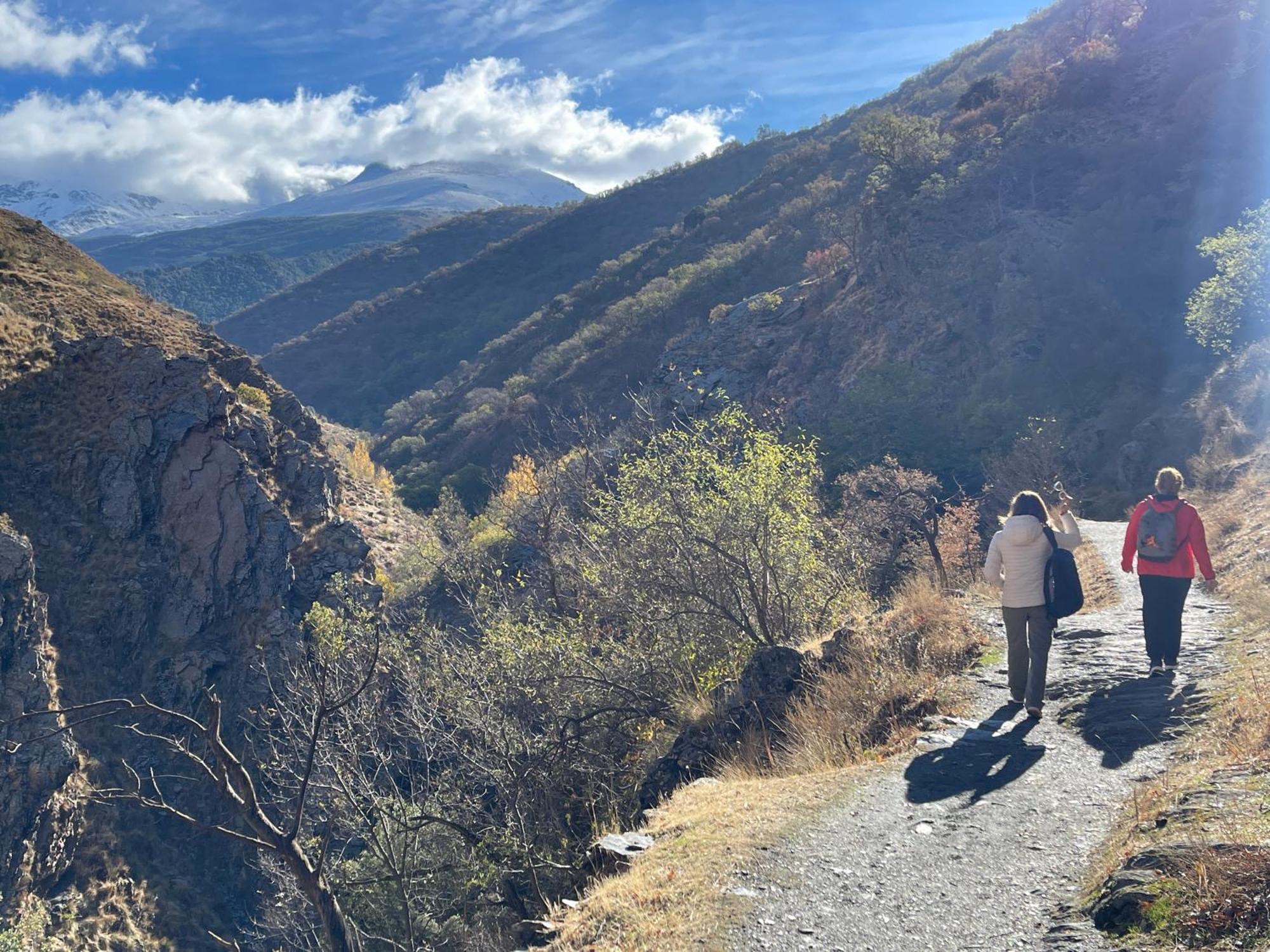 La Casa Del Ciervo Sierra Nevada Guejar Sierra